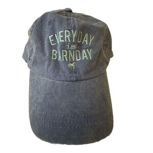 Stirrups Clothing Everyday Is Barn Day Hat Light Blue, Unisex, Adjustable